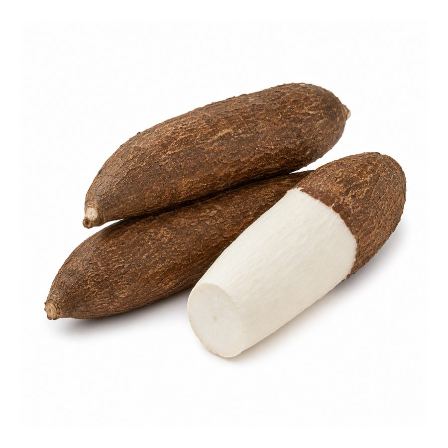 Manioc